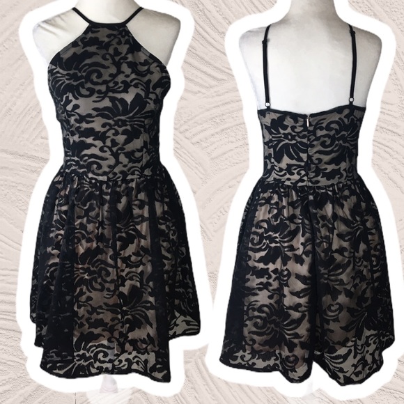 TOBI High Neck Fit & Flare Floral Lace Mini Dress - Picture 1 of 7